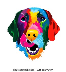 Abstract portrait of the head of a Labrador retriever from multicolored paints. Colored drawing. Puppy muzzle portrait, dog muzzle. Vector illustration of paints