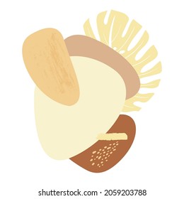 Afiche abstracto con composición de ovalos geométricos y hoja de monstera en tonos beige naturales en estilo boho en vector sobre fondo blanco