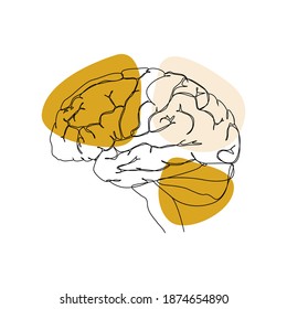 Abstract poster with minimalistic human brain, anatomy. One line drawing style. Vector illustration on isolated background.