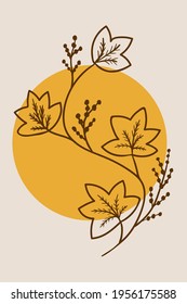 Abstract  posters with bitter herbs Calumba (Jateorhiza palmata). Abstract geometric elements and flowers, leaves and berries. Great design for social media, postcards, print.