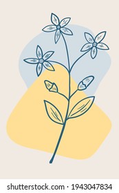 Afiches abstractos con hierbas amargas centaurium eritraea, centauría común o europea. Resumen de elementos geométricos y flores, hojas y bayas. Gran diseño para medios sociales, postales, impresos.