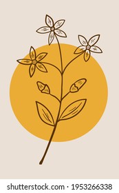 Abstract  posters with bitter herbs centaurium erythraea, common or european centaury. Abstract geometric elements and flowers, leaves and berries. Great design for social media, postcards, print.
