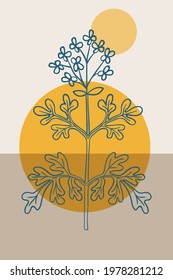 Abstract  posters with bitter herbs Herb-of-grace (Ruta graveolens), or common rue. Abstract geometric elements and flowers, leaves and berries. Great design for social media, postcards, print.