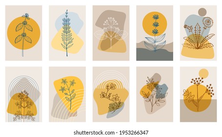 Abstract  posters with bitter herbs, set. Abstract geometric elements and flowers, leaves and berries. Great design for social media, postcards, print.