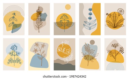 Abstract  posters with bitter herbs, set. Abstract geometric elements and flowers, leaves and berries. Great design for social media, postcards, print.