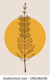 Afiches abstractos con hierbas amargas en Snapdragon (Antirrhinum majus), o flores de dragón. Resumen de elementos geométricos y flores, hojas y bayas. Gran diseño para medios sociales, postales, impresos.
