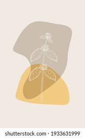 Abstract  posters with bitter herbs white horehound. Abstract geometric elements and flowers, leaves and berries. Great design for social media, postcards, print.