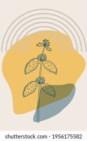 Abstract  posters with bitter herbs white horehound. Abstract geometric elements and flowers, leaves and berries. Great design for social media, postcards, print.