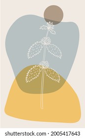 Abstract  posters with bitter herbs white horehound. Abstract geometric elements and flowers, leaves and berries. Great design for social media, postcards, print.