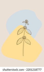 Afiches abstractos con hierbas amargas blancas alrededor. Resumen de elementos geométricos y flores, hojas y bayas. Gran diseño para medios sociales, postales, impresos.