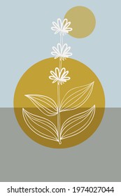 Abstract  posters with bitter herbs yellow gentian. Abstract geometric elements and flowers, leaves and berries. Great design for social media, postcards, print.