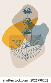Abstract  posters with bitter herbs yellow gentian. Abstract geometric elements and flowers, leaves and berries. Great design for social media, postcards, print.