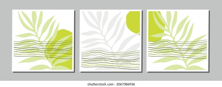 
afiches abstractos con líneas y hojas en verde