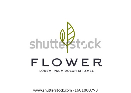 Abstract premium green leaf icon design vector graphics