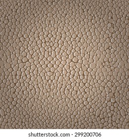 Abstract print animal  pattern. Repeating background texture. Vector illustration