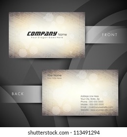 Abstract professional and designer business card template or visiting card set. EPS 10.