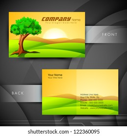 Abstract professional and designer business card template or visiting card set. EPS 10.