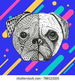 Abstract Pug Illustration, Vector