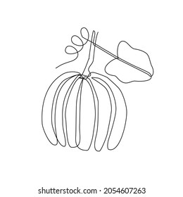 Abstract pumpkin with leaf in one line art drawing style. Black line sketch on white background. Vector illustration. Art design for prints, posters, clothes.