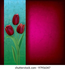 abstract purple grunge background with red tulips