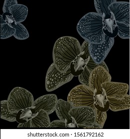 Abstract purple orhids illustration on black background. Realistic orchid for print design. Vector design illustration. Black dark background. Nature backdrop