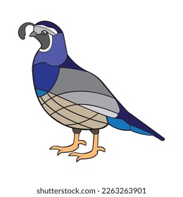 Abstract Quail.Vector illustration isolated on white background.