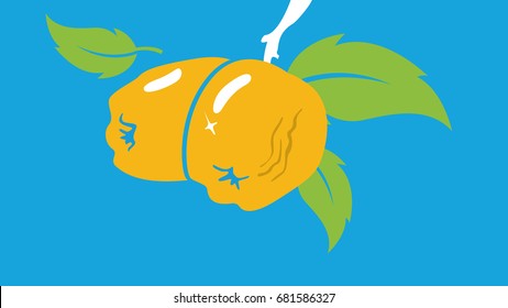 Abstract Quince background VEctor for farming, agriculture