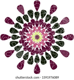 Abstract radial geometric pattern of the flower