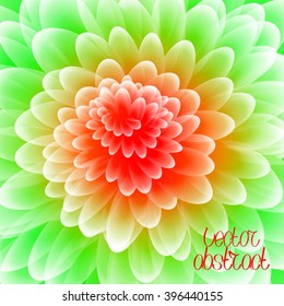 Abstract Rainbow Background. Colorful Flower. Vector Illustration