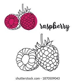 Abstract raspberry. Continuous one line drawing raspberrypi. Sketch vector illustration. Food, fruit or berry concept. Raspberry icon.