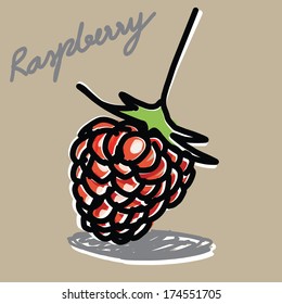 The abstract of raspberry hand - drawn
