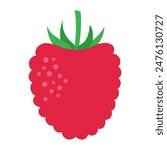 Abstract raspberry illustration. Vector illustration of berry in cartoon style.