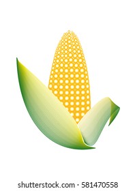 Abstract raw corn peeled
