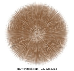 Abstract rays. Circle Shape Spikes. Brown Spore Prickle