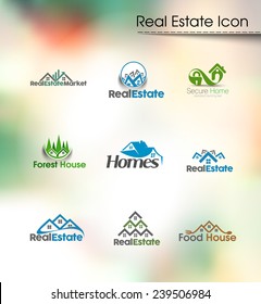 Abstract Real Estate Icons and vector logo 