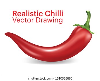 Abstract Realistic Chilli Vector Drawing
