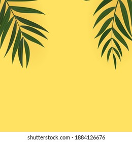 Abstract Realistic Green Palm Leaf Tropical Background. Vector illustration