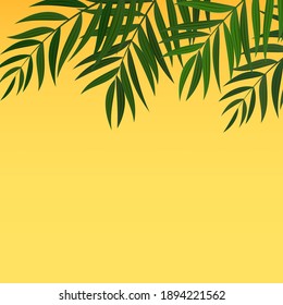 Abstract Realistic Green Palm Leaf Tropical Background. Vector illustration