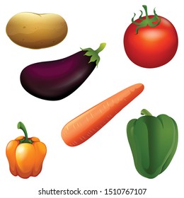 abstract realistic vegetable illustration -vector