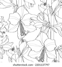 Abstract red elegant seamless pattern with hand-drawn line amaryllis flowers and leaves. Pattern for creating packaging, wallpaper, fabric.