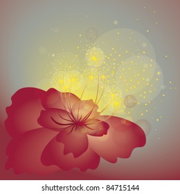 Abstract red flower / Shining background