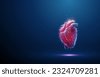 heart vector human