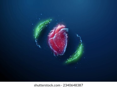 Resumen del corazón humano rojo con hojas verdes. Dieta saludable, concepto médico de atención médica. Diseño de bajo estilo polaco. Fondo geométrico. Estructura de conexión de la luz del bastidor acústico. Moderno concepto gráfico 3d Vector