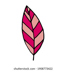 Abstract red leaf. Linear vector hand drawing with black outline on white background. Doodle style element for design of cards, textiles, invitations, backgrounds, prints.