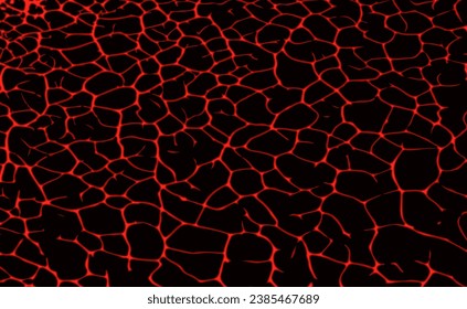 abstract red line on the dark background