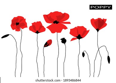 Abstract red poppy flowers. Isolated on white background. Flat cartoon style. Vector illustration.