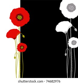 Abstract red poppy on black and white background