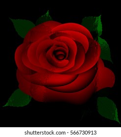 abstract red rose