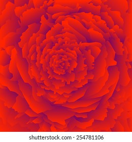 Abstract red rose background