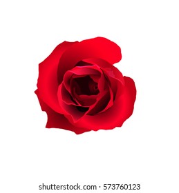 Abstract red rose, isolated